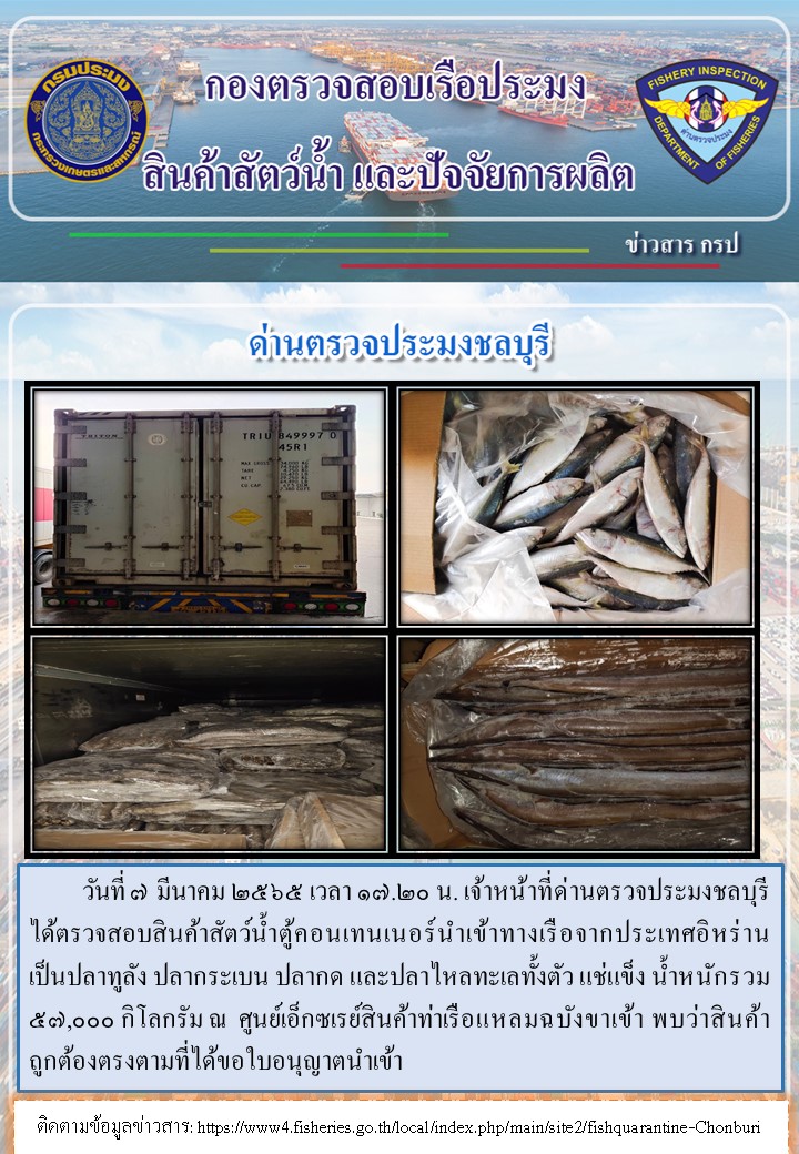 การปฏิบัติงานของเจ้าหน้าที่ด่านตรวจประมงชลบุรีประจำวันที่ 7 มีนาคม 2565..คลิก