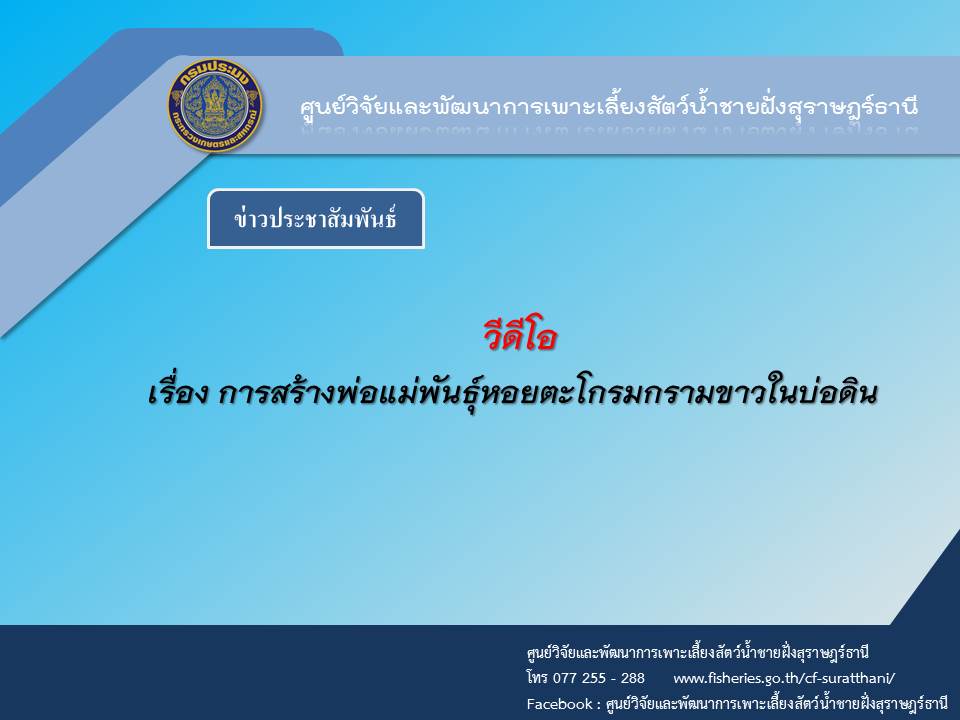 วีดิโอ เรื่อง การสร้างพ่อแม่พันธุ์หอยตะโกรมกรามขาวในบ่อดิน