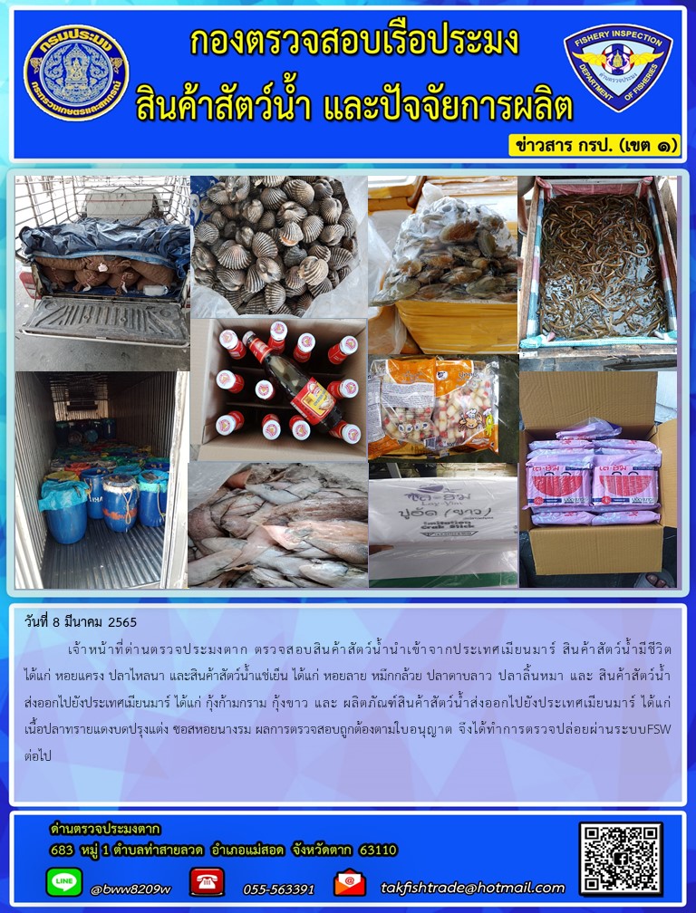 วันที่ 8 มีนาคม 2565 เจ้าหน้าที่ด่านตรวจประมงตาก ตรวจสอบสินค้าสัตว์น้ำนำเข้าจากประเทศเมียนมาร์ สินค้าสัตว์น้ำมีชีวิต ได้แก่ หอยแครง ปลาไหลนา และสินค้าสัตว์น้ำแช่เย็น ได้แก่ หอยลาย หมึกกล้วย ปลาดาบลาว ปลาลิ้นหมา และ สินค้าสัตว์น้ำส่งออกไปยังประเทศเมียนมาร์ ได้แก่ กุ้งก้ามกราม กุ้งขาว และ ผลิตภัณฑ์สินค้าสัตว์น้ำส่งออกไปยังประเทศเมียนมาร์ ได้แก่ เนื้อปลาทรายแดงบดปรุงแต่ง ซอสหอยนางรม ผลการตรวจสอบถูกต้องตามใบอนุญาต จึงได้ทำการตรวจปล่อยผ่านระบบFSW ต่อไป..คลิก