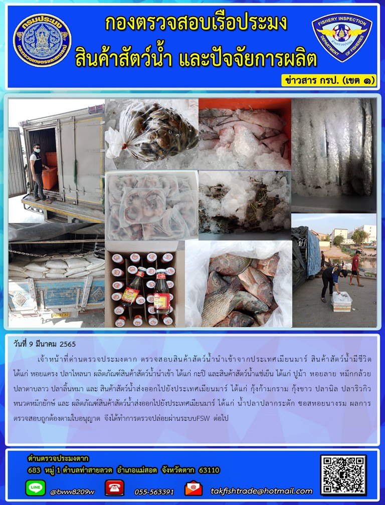 วันที่ 9 มีนาคม 2565  	เจ้าหน้าที่ด่านตรวจประมงตาก ตรวจสอบสินค้าสัตว์น้ำนำเข้าจากประเทศเมียนมาร์ สินค้าสัตว์น้ำมีชีวิต ได้แก่ หอยแครง ปลาไหลนา ผลิตภัณฑ์สินค้าสัตว์น้ำนำเข้า ได้แก่ กะปิ และสินค้าสัตว์น้ำแช่เย็น ได้แก่ ปูม้า หอยลาย หมึกกล้วย ปลาดาบลาว ปลาลิ้นหมา และ สินค้าสัตว์น้ำส่งออกไปยังประเทศเมียนมาร์ ได้แก่ กุ้งก้ามกราม กุ้งขาว ปลานิล ปลาริวกิว หนวดหมึกยักษ์ และ ผลิตภัณฑ์สินค้าสัตว์น้ำส่งออกไปยังประเทศเมียนมาร์ ได้แก่ น้ำปลาปลากระตัก ซอสหอยนางรม ผลการตรวจสอบถูกต้องตามใบอนุญาต จึงได้ทำการตรวจปล่อยผ่านระบบFSW ต่อไป..คลิก