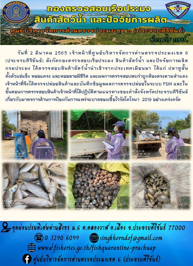 สินค้าสัตว์น้ำนำเข้าจากประเทศเมียนมา..คลิก