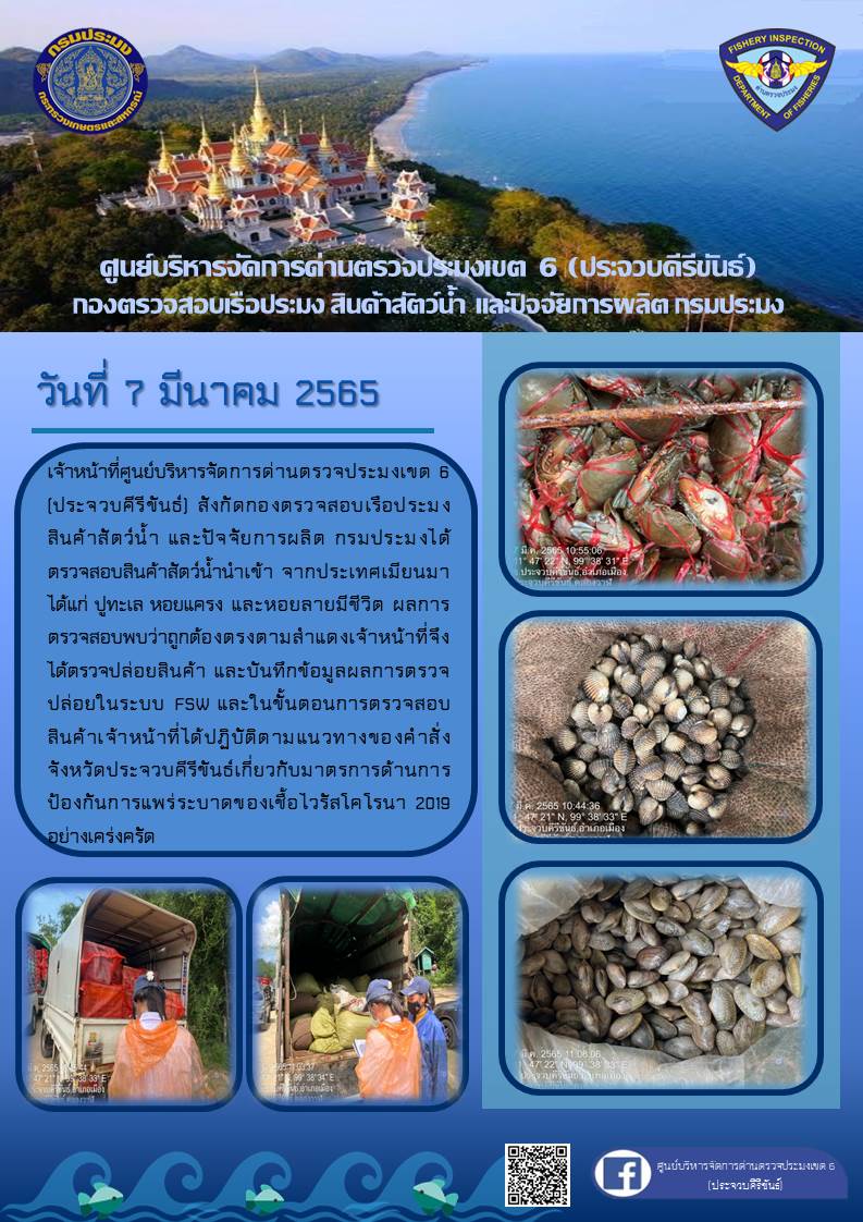 สินค้าสัตว์น้ำนำเข้าจากประเทศเมียนมา..คลิก