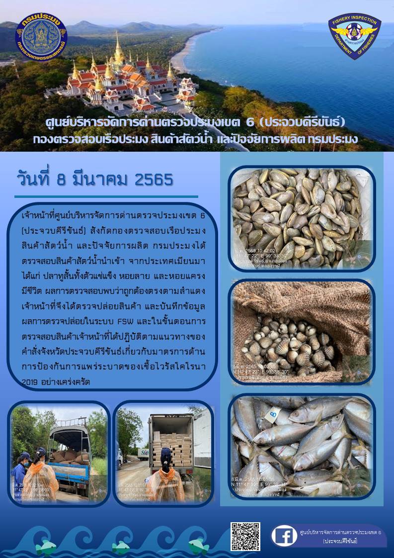 สินค้าสัตว์น้ำนำเข้าจากประเทศเมียนมา..คลิก