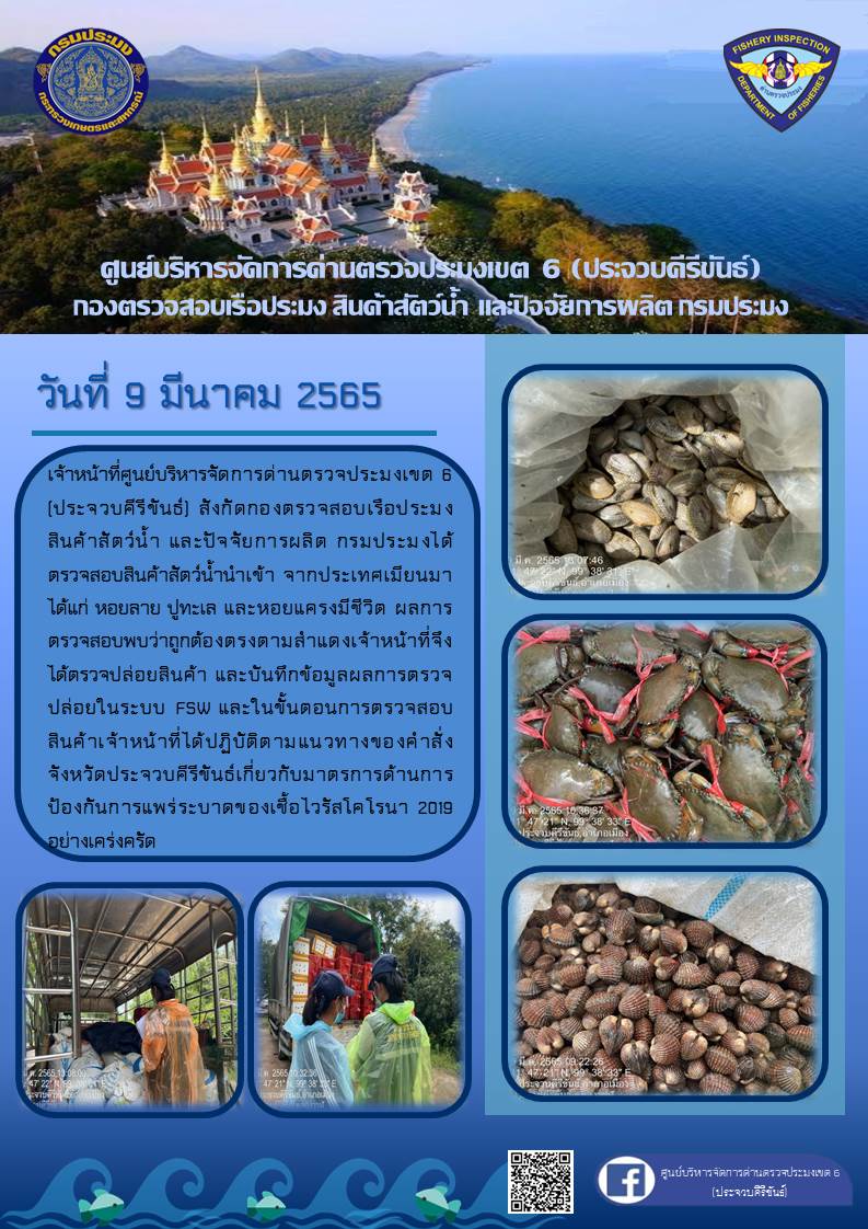 สินค้าสัตว์น้ำนำเข้าจากประเทศเมียนมา..คลิก