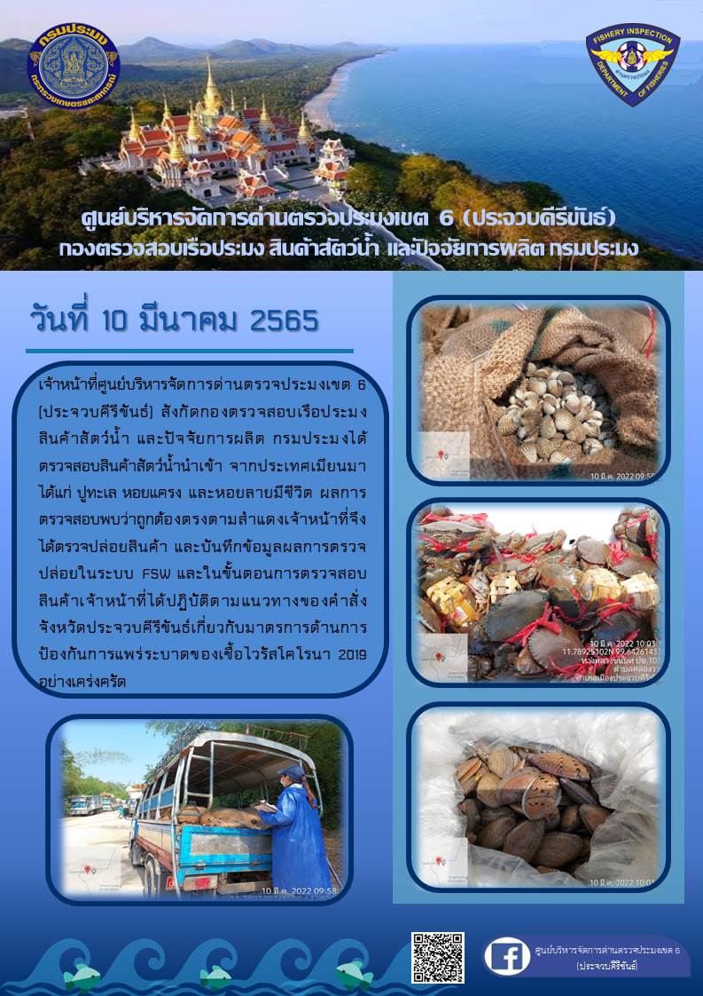 สินค้าสัตว์น้ำนำเข้าจากประเทศเมียนมา..คลิก