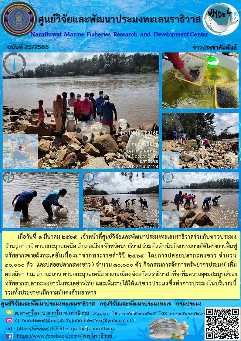 การปล่อยพันธุ์สัตว์น้ำ โครงการฟื้นฟูทรัพยากรชายฝั่งทะเลอันเนื่องมาจากพระราชดำริ และ กิจกรรมการจัดการทรัพยากรประมง (เพิ่มผลผลิตฯ) 2565..คลิก