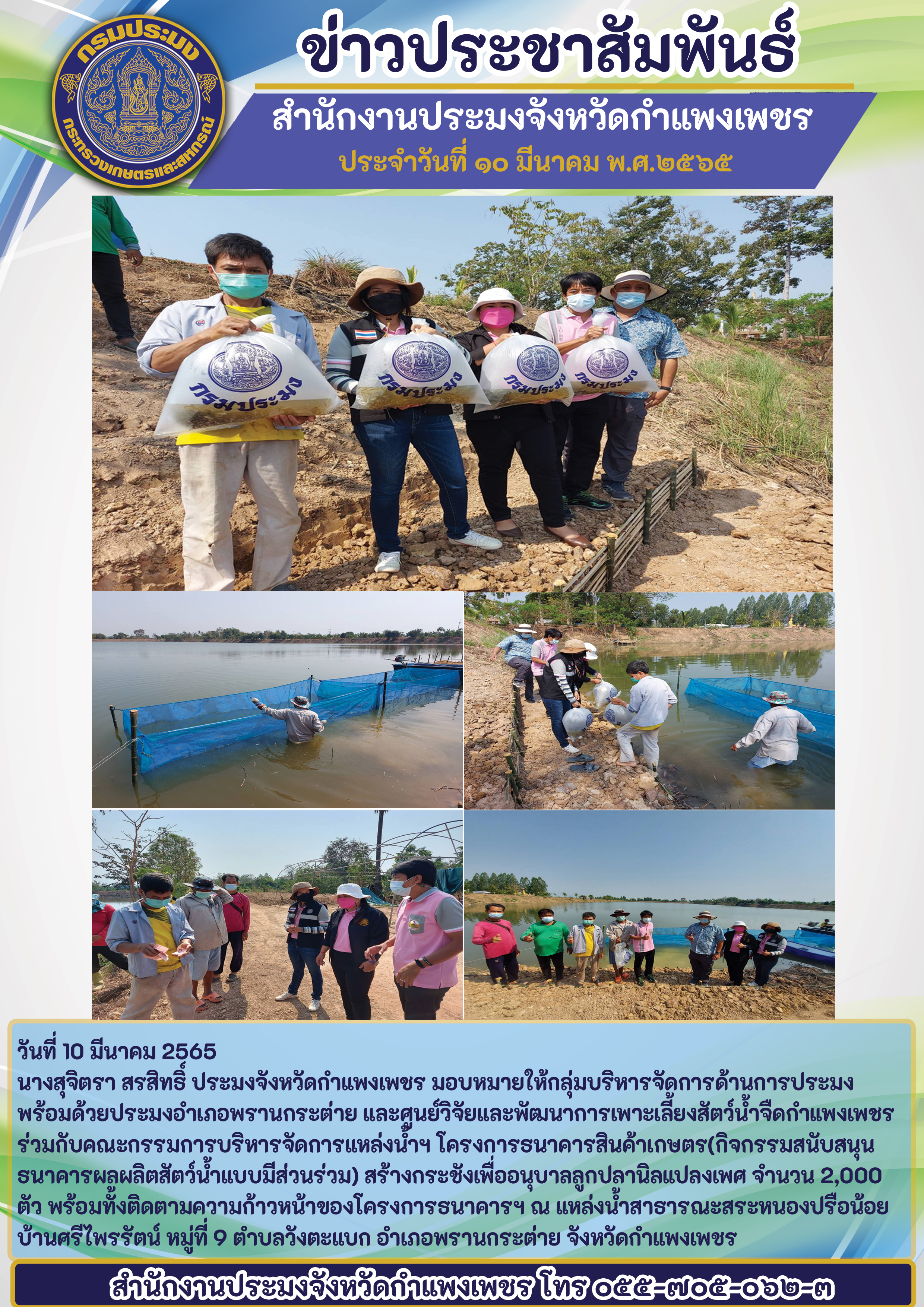 โครงการธนาคารสินค้าเกษตร(กิจกรรมสนับสนุนธนาคารผลผลิตสัตว์น้ำแบบมีส่วนร่วม) สร้างกระชังเพื่ออนุบาลลูกปลานิลแปลงเพศ จำนวน 2,000 ตัว พร้อมทั้งติดตามความก้าวหน้าของโครงการธนาคารฯ ณ แหล่งน้ำสาธารณะสระหนองปรือน้อย บ้านศรีไพรรัตน์ หมู่ที่ 9 ตำบลวังตะแบก อำเภอพรานกระต่าย จังหวัดกำแพงเพชร..คลิก