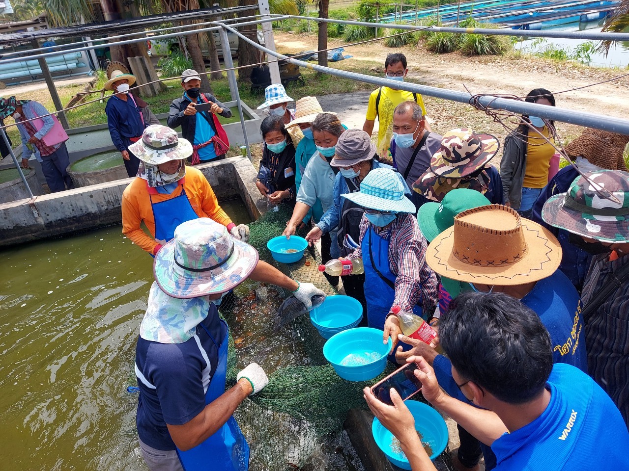 ข่าวประชาสัมพันธ์ประจำวันที่ 8-9 มีนาคม 2565 ศูนย์วิจัยและพัฒนาการเพาะเลี้ยงสัตว์น้ำจืดศรีสะเกษ ปักษ์แรก ฉบับที่ 63..คลิก