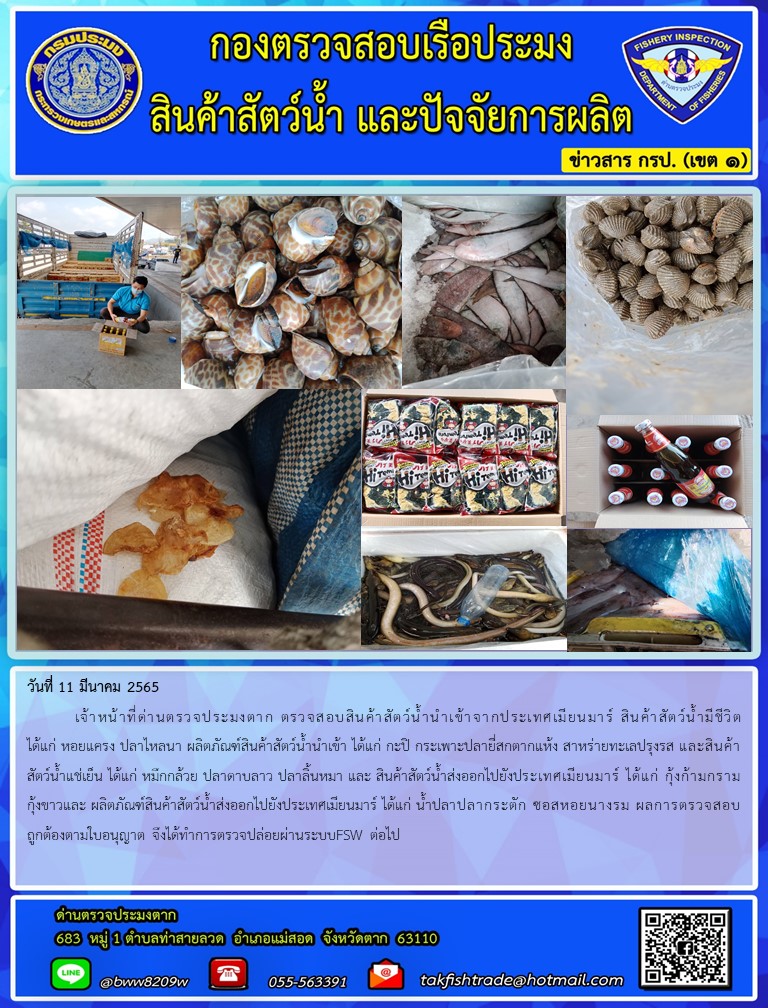 วันที่ 11 มีนาคม 2565  	เจ้าหน้าที่ด่านตรวจประมงตาก ตรวจสอบสินค้าสัตว์น้ำนำเข้าจากประเทศเมียนมาร์ สินค้าสัตว์น้ำมีชีวิต ได้แก่ หอยแครง ปลาไหลนา ผลิตภัณฑ์สินค้าสัตว์น้ำนำเข้า ได้แก่ กะปิ กระเพาะปลายี่สกตากแห้ง สาหร่ายทะเลปรุงรส และสินค้าสัตว์น้ำแช่เย็น ได้แก่ หมึกกล้วย ปลาดาบลาว ปลาลิ้นหมา และ สินค้าสัตว์น้ำส่งออกไปยังประเทศเมียนมาร์ ได้แก่ กุ้งก้ามกราม กุ้งขาวและ ผลิตภัณฑ์สินค้าสัตว์น้ำส่งออกไปยังประเทศเมียนมาร์ ได้แก่ น้ำปลาปลากระตัก ซอสหอยนางรม ผลการตรวจสอบถูกต้องตามใบอนุญาต จึงได้ทำการตรวจปล่อยผ่านระบบFSW ต่อไป..คลิก