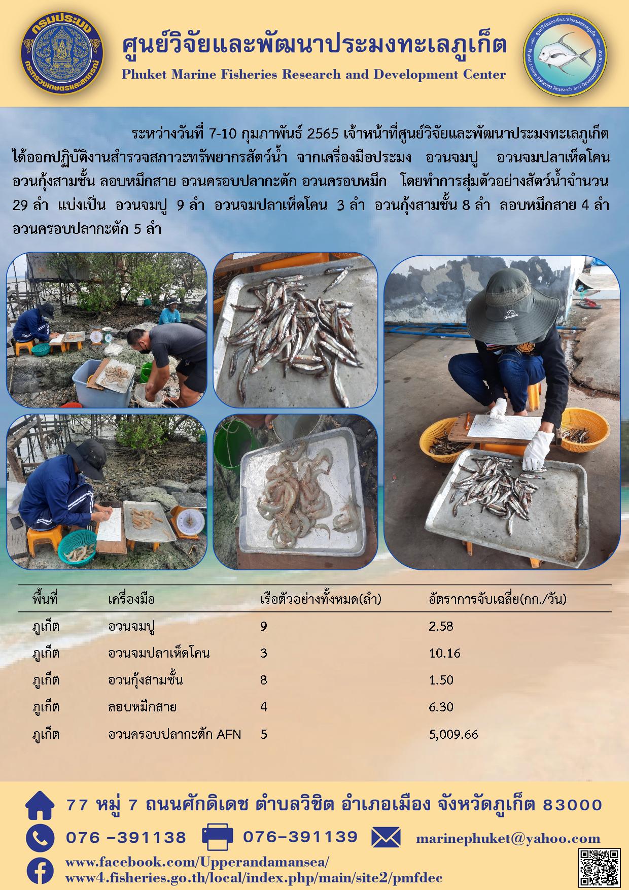 ระหว่างวันที่ 7-10 กุมภาพันธ์ 2565 เจ้าหน้าที่ศูนย์วิจัยและพัฒนาประมงทะเลภูเก็ต ได้ออกปฏิบัติงานสำรวจสภาวะทรัพยากรสัตว์น้ำจากเครื่องมือประมง อวนจมป อวนจมปลาเห็ดโคน อวนกุ้งสามชั้น ลอบหมึกสาย อวนครอบปลากะตัก อวนครอบหมึก..คลิก