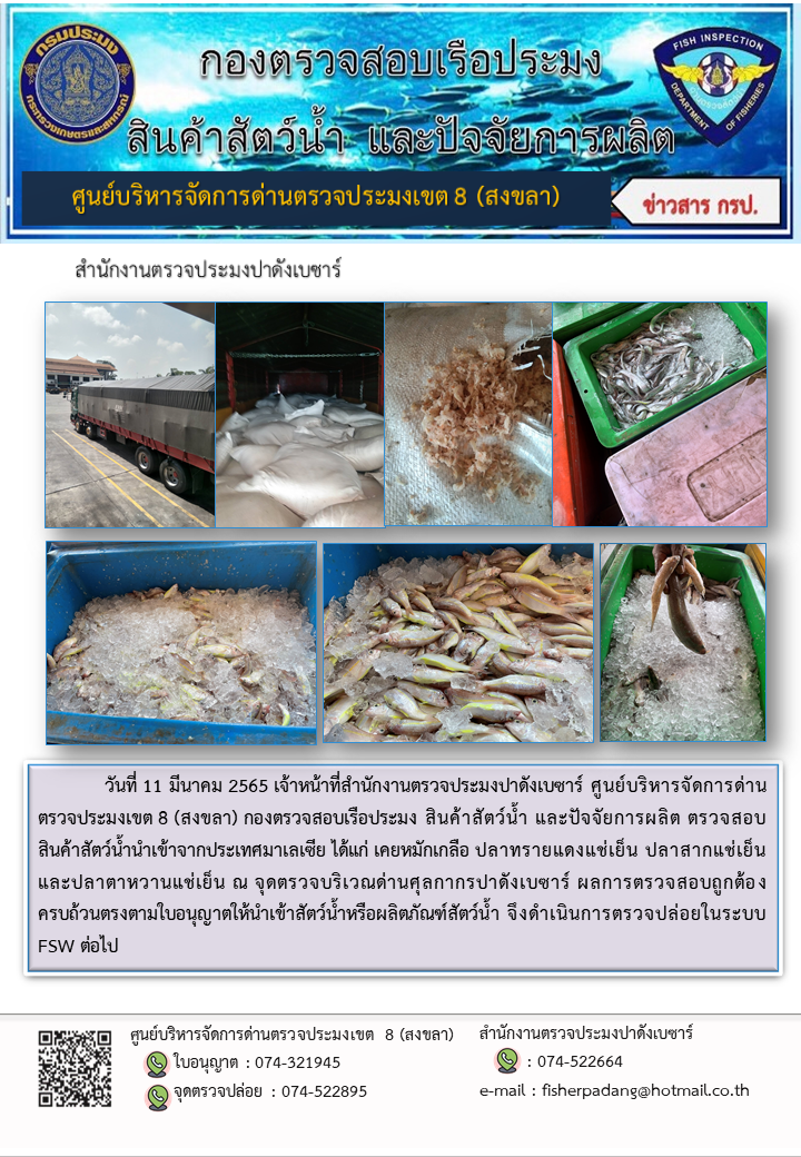 ประชาสัมพันธ์การปฏิบัติงาน วันที่ 11 มีนาคม 2565 สำนักงานตรวจประมงปาดังเบซาร์..คลิก