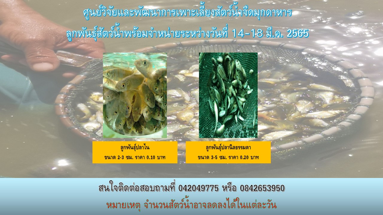 ลูกพันธุ์สัตว์น้ำพร้อมจำหน่าย..คลิก