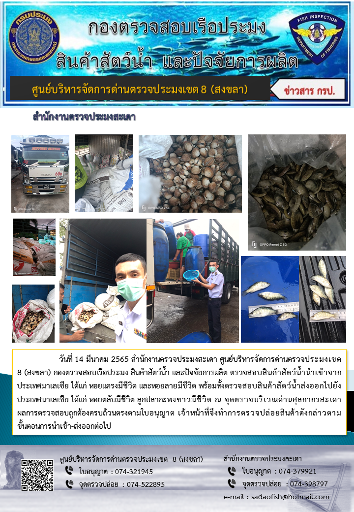 ประชาสัมพันธ์การปฏิบัติงาน วันที่ 14 มีนาคม 2565 สำนักงานตรวจประมงสะเดา..คลิก