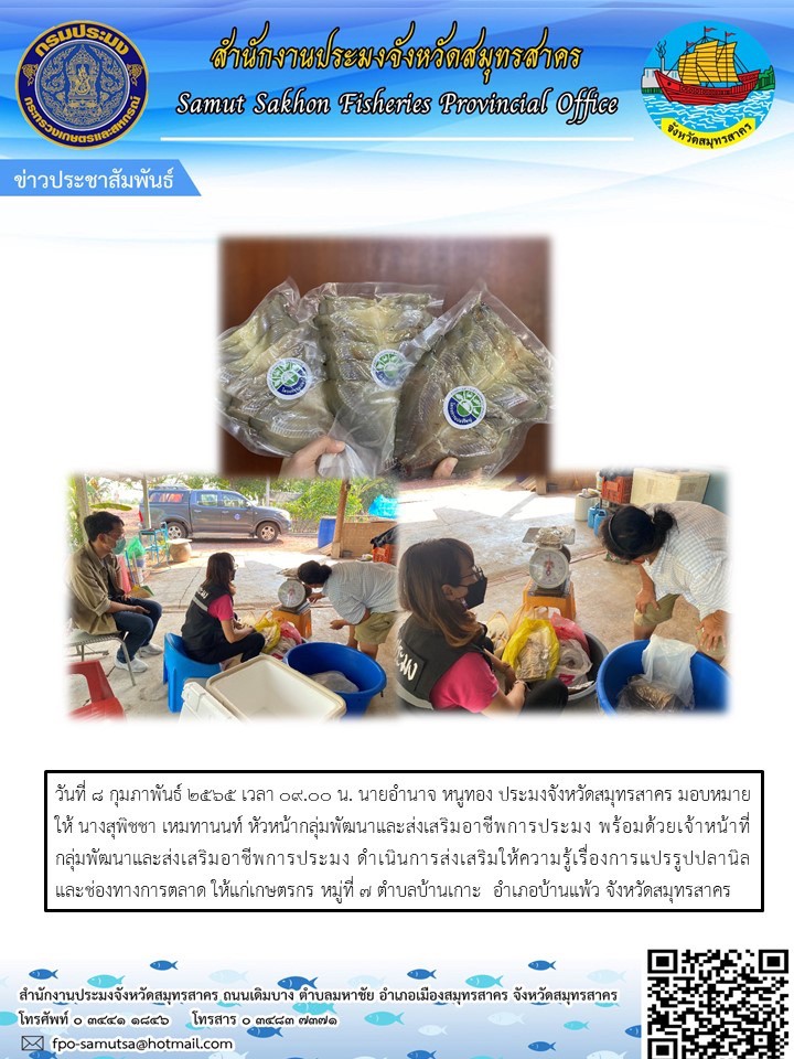 ดำเนินการส่งเสริมให้ความรู้เรื่องการแปรรูปปลานิลและช่องทางการตลาด ให้แก่เกษตรกร..คลิก