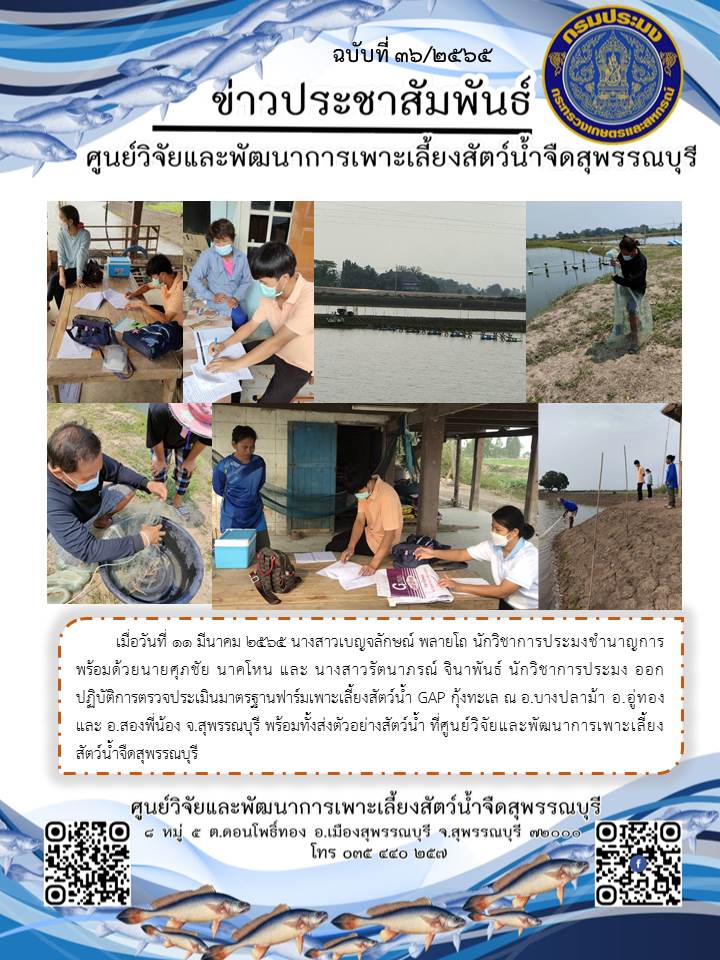 ข่าวประชาสัมพันธ์ฉบับที่ 36 ประจำเดือนมีนาคม 2565..คลิก