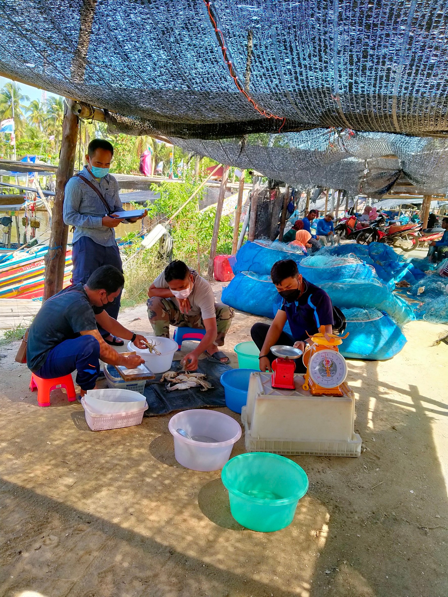 เมื่อวันที่ 7-10 กุมภาพันธ์ 2565 เจ้าหน้าที่ศูนย์วิจัยและพัฒนาประมงทะเลสงขลา เก็บรวบรวมข้อมูลสภาวะการประมงพื้นบ้านในเขตจังหวัดปัตตานี ณ ท่าขึ้นสัตว์น้ำบ้านปาตา หมู่ที่ 1 ตำบลตะโละกาโปร์ อำเภอยะหริ่ง ได้จำนวนเรือประมงตัวอย่างทั้งหมด 24 ลำ ทำการประมงด้วยเครื่องมืออวนลอยกุ้งสามชั้นจำนวน 15 ลำ 0.04 และทำการประมงด้วยเครื่องมืออวนจมปูจำนวน 9 ลำ..คลิก