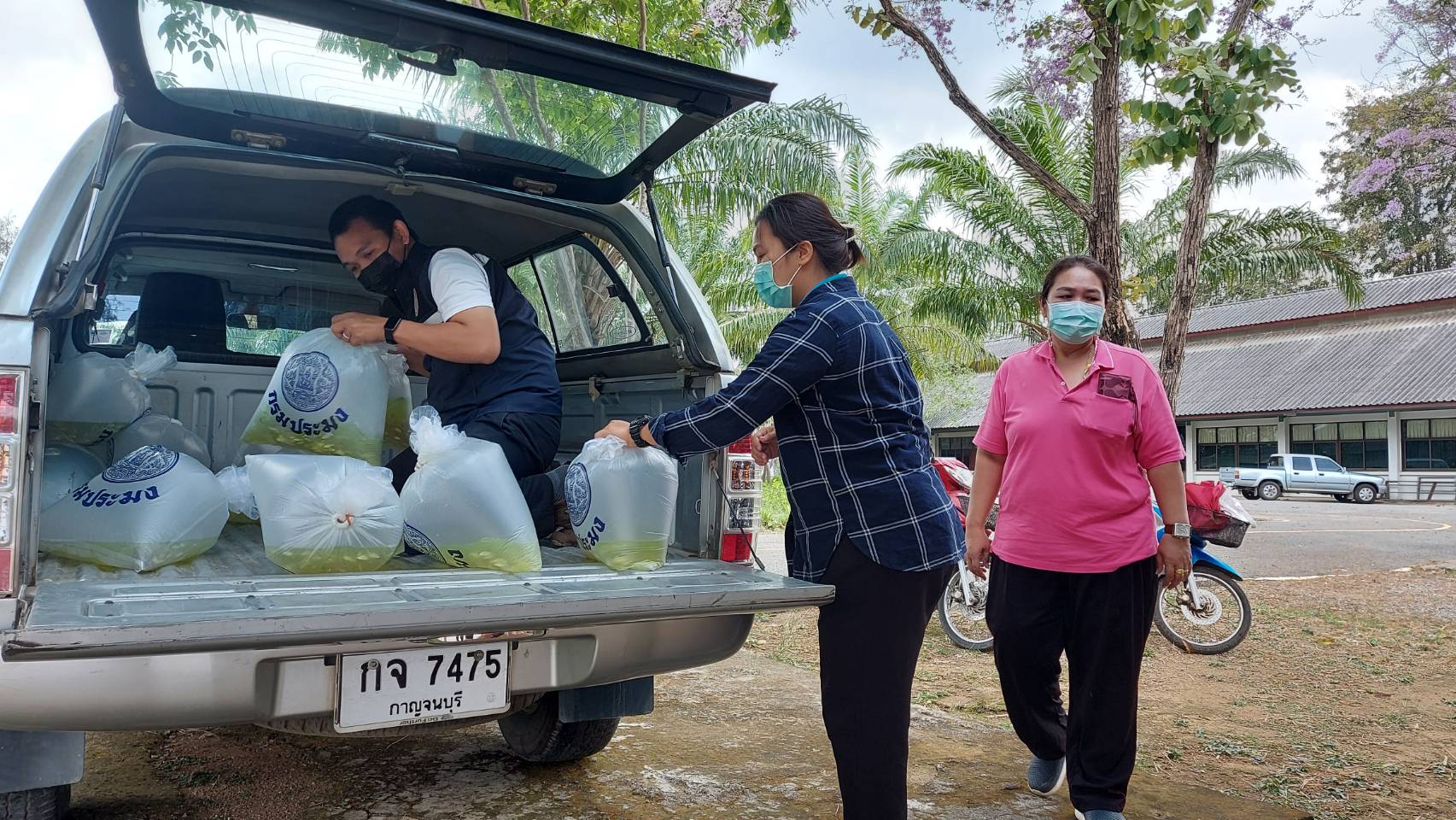 มอบพันธุ์สัตว์น้ำศูนย์ฝึกวิชาชีพจังหวัดกาญจนบุรี 