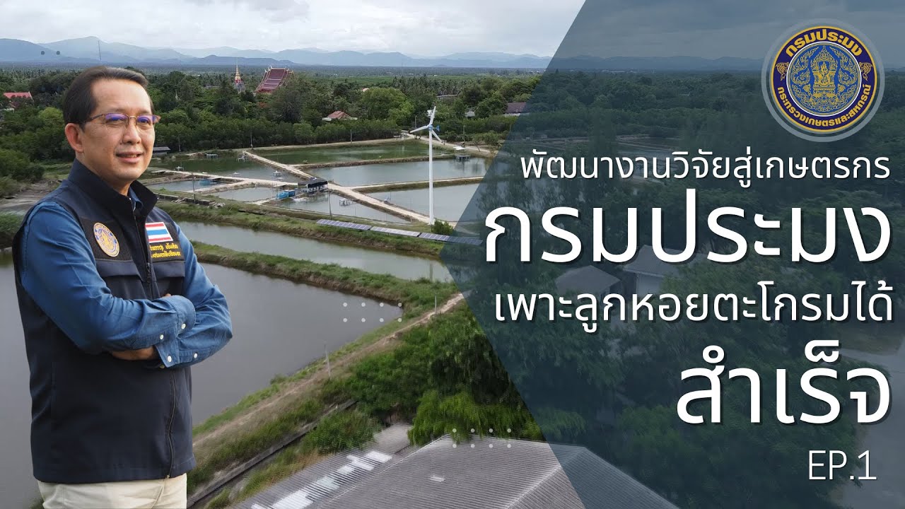 พัฒนางานวิจัยสู่เกษตรกร กรมประมงเพาะลูกหอยตะโกรมกรามขาวได้สำเร็จ EP.1..คลิก