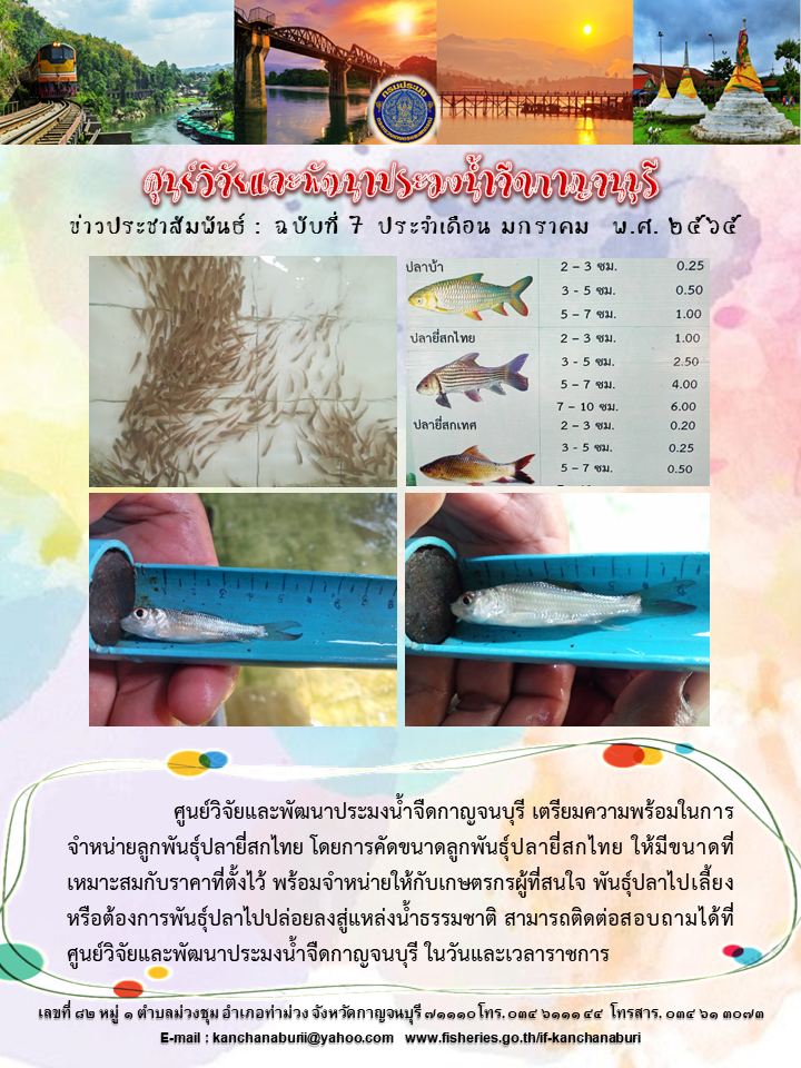 เตรียมความพร้อมในการจำหน่ายลูกพันธุ์ปลายี่สกไทย..คลิก