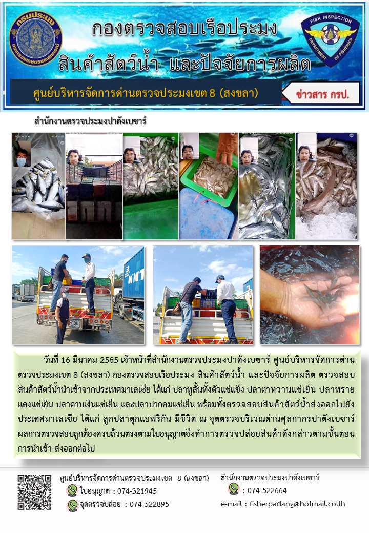 ประชาสัมพันธ์การปฏิบัติงาน วันที่ 16 มีนาคม 2565 สำนักงานตรวจประมงปาดังเบซาร์..คลิก