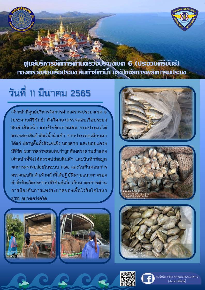 สินค้าสัตว์น้ำนำเข้าจากประเทศเมียนมา..คลิก
