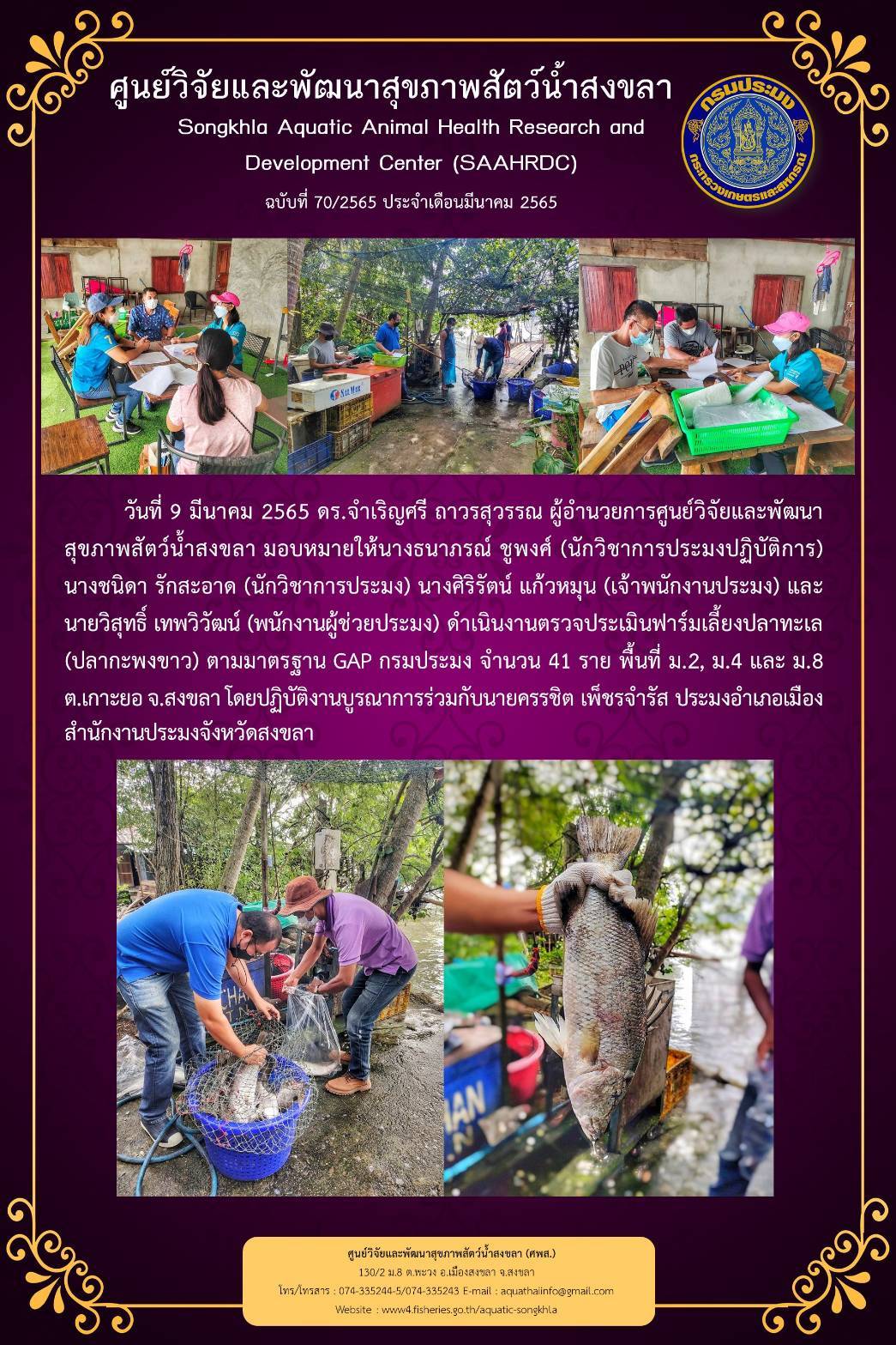 ฉบับที่ 70/65 ศูนย์วิจัยและพัฒนาสุขภาพสัตว์น้ำสงขลา ดำเนินงานตรวจประเมินฟาร์มเลี้ยงปลาทะเล (ปลากะพงขาว) ตามมาตรฐาน GAP กรมประมง จำนวน 41 ราย..คลิก