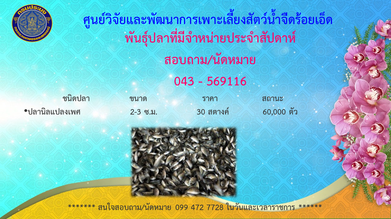 พันธุ์ปลาที่มีจำหน่ายประจำสัปดาห์..คลิก