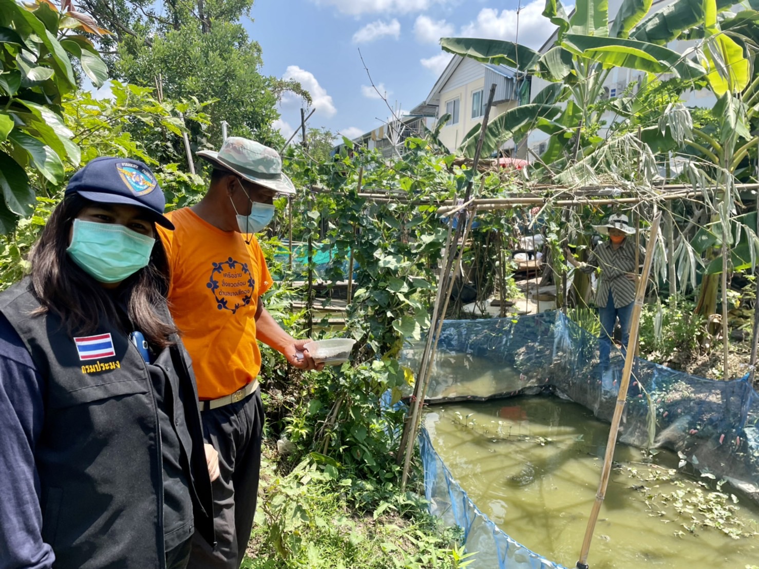 (อ.บางกรวย) ตรวจติดตามโครงการส่งเสริมการเพาะเลี้ยงสัตว์น้ำจืด (ปลาดุก/กบ) ในบ่อกระชังบก..คลิก