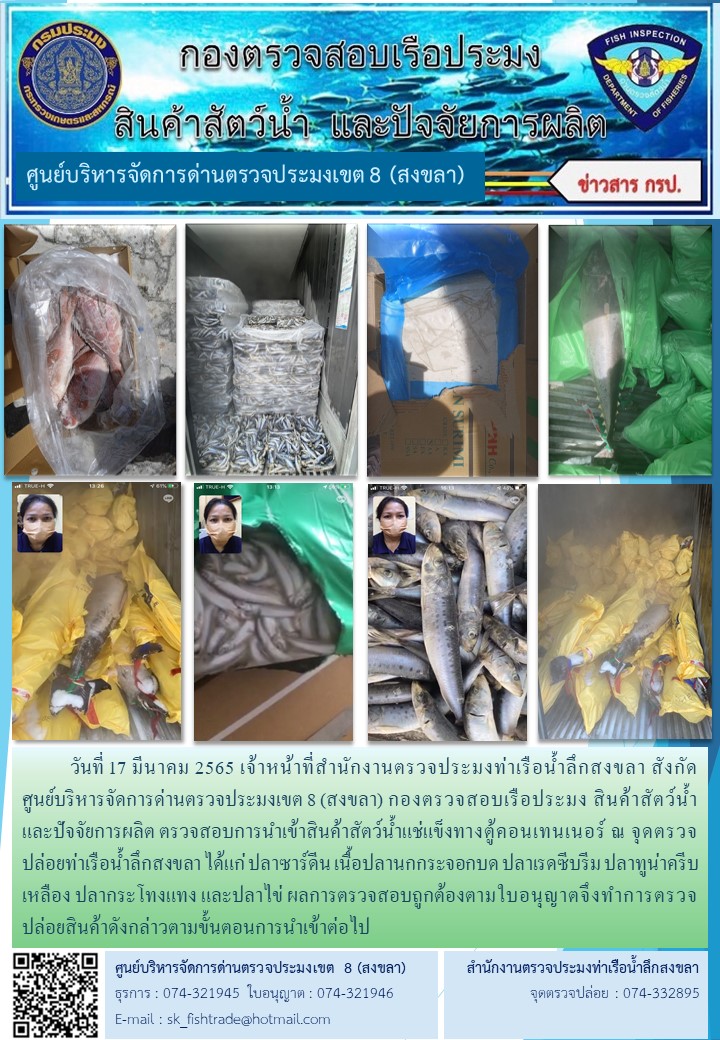 วันที่ 17 มีนาคม 2565 เจ้าหน้าที่สำนักงานตรวจประมงท่าเรือน้ำลึกสงขลา ตรวจสอบการนำเข้าสินค้าสัตว์น้ำแช่แข็งทางตู้คอนเทนเนอร์ ณ จุดตรวจปล่อยท่าเรือน้ำลึกสงขลา..คลิก