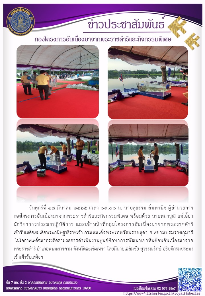 วันศุกร์ที่ ๑๘ มีนาคม ๒๕๖๕ เวลา ๐๙:๐๐ น. นายสุธรรม ลิ่มพานิช ผอ.กคพ พร้อมด้วย นายพลาวุฒิ แช่เอี๊ยว นักวิชาการประมงปฏิบัติการ และเจ้าหน้าที่กลุ่มโครงการอันเนื่องมาจากพระราชดำริ เข้ารับเสด็จสมเด็จพระ กนิษฐาธิราชเจ้า กรมสมเด็จพระ เทพรัตนราชสุดา ฯ สยามบรมราชกุมารี ในโอกาสเสด็จมาทรงติดตามผลกา รดำเนินงานศูนย์ศึกษาการพัฒนาเขาหินซ้อนอันเนื่องมาจาก พระราชดำริ อำเภอพนมสารคาม จังหวัดฉะเชิงเทรา โดยมีนายเฉลิมชัย สุวรรณรักษ์ อธิบดีกรมประมง เข้าเฝ้ารับเสด็จฯ..คลิก