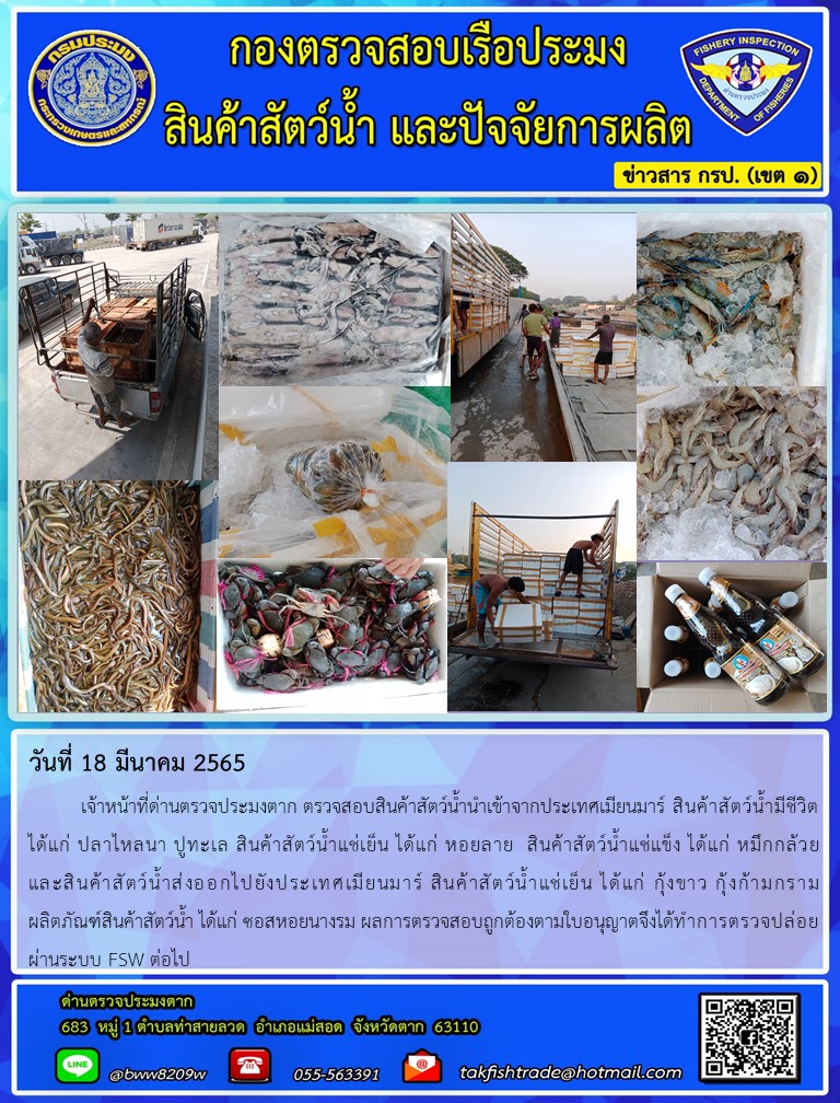 วันที่ 18 มีนาคม 2565   	เจ้าหน้าที่ด่านตรวจประมงตาก ตรวจสอบสินค้าสัตว์น้ำนำเข้าจากประเทศเมียนมาร์ สินค้าสัตว์น้ำมีชีวิต   ได้แก่ ปลาไหลนา ปูทะเล สินค้าสัตว์น้ำแช่เย็น ได้แก่ หอยลาย  สินค้าสัตว์น้ำแช่แข็ง ได้แก่ หมึกกล้วย        และสินค้าสัตว์น้ำส่งออกไปยังประเทศเมียนมาร์ สินค้าสัตว์น้ำแช่เย็น ได้แก่ กุ้งขาว กุ้งก้ามกราม          ผลิตภัณฑ์สินค้าสัตว์น้ำ ได้แก่ ซอสหอยนางรม ผลการตรวจสอบถูกต้องตามใบอนุญาตจึงได้ทำการตรวจปล่อยผ่านระบบ FSW ต่อไป..คลิก