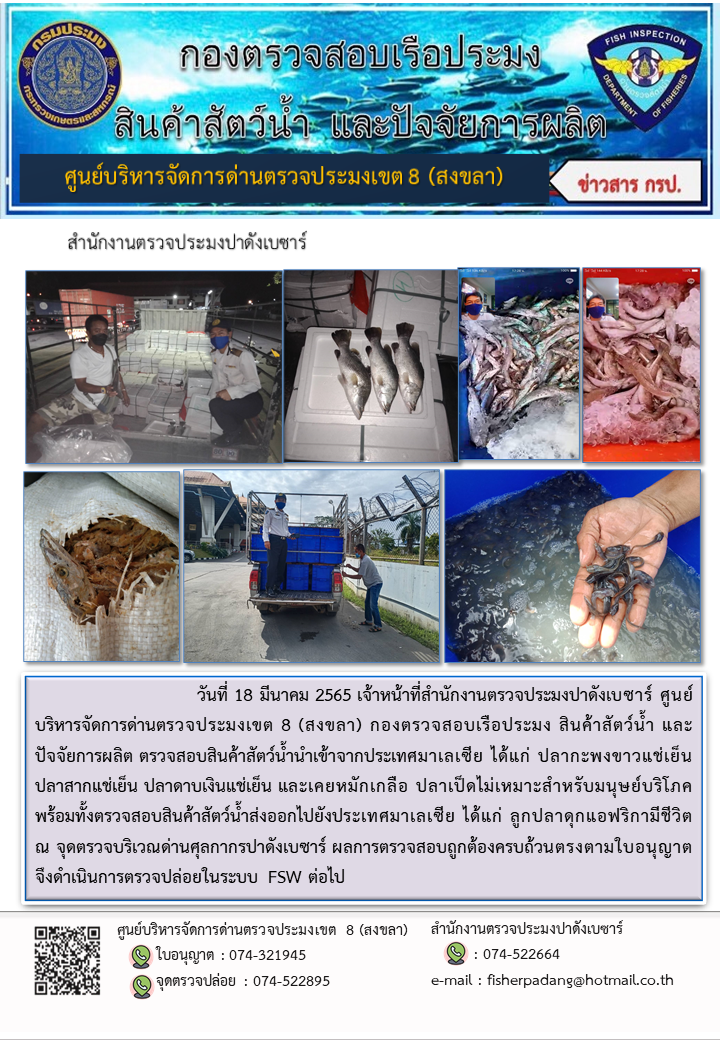 ประชาสัมพันธ์การปฏิบัติงาน วันที่ 18 มีนาคม 2565 สำนักงานตรวจประมงปาดังเบซาร์..คลิก