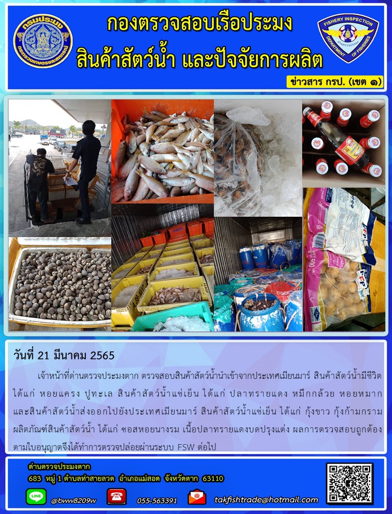 วันที่ 21 มีนาคม 2565   	เจ้าหน้าที่ด่านตรวจประมงตาก ตรวจสอบสินค้าสัตว์น้ำนำเข้าจากประเทศเมียนมาร์ สินค้าสัตว์น้ำมีชีวิต   ได้แก่ หอยแครง ปูทะเล สินค้าสัตว์น้ำแช่เย็น ได้แก่ ปลาทรายแดง หมึกกล้วย หอยหมาก                      และสินค้าสัตว์น้ำส่งออกไปยังประเทศเมียนมาร์ สินค้าสัตว์น้ำแช่เย็น ได้แก่ กุ้งขาว กุ้งก้ามกราม          ผลิตภัณฑ์สินค้าสัตว์น้ำ ได้แก่ ซอสหอยนางรม เนื้อปลาทรายแดงบดปรุงแต่ง ผลการตรวจสอบถูกต้อง        ตามใบอนุญาตจึงได้ทำการตรวจปล่อยผ่านระบบ FSW ต่อไป..คลิก