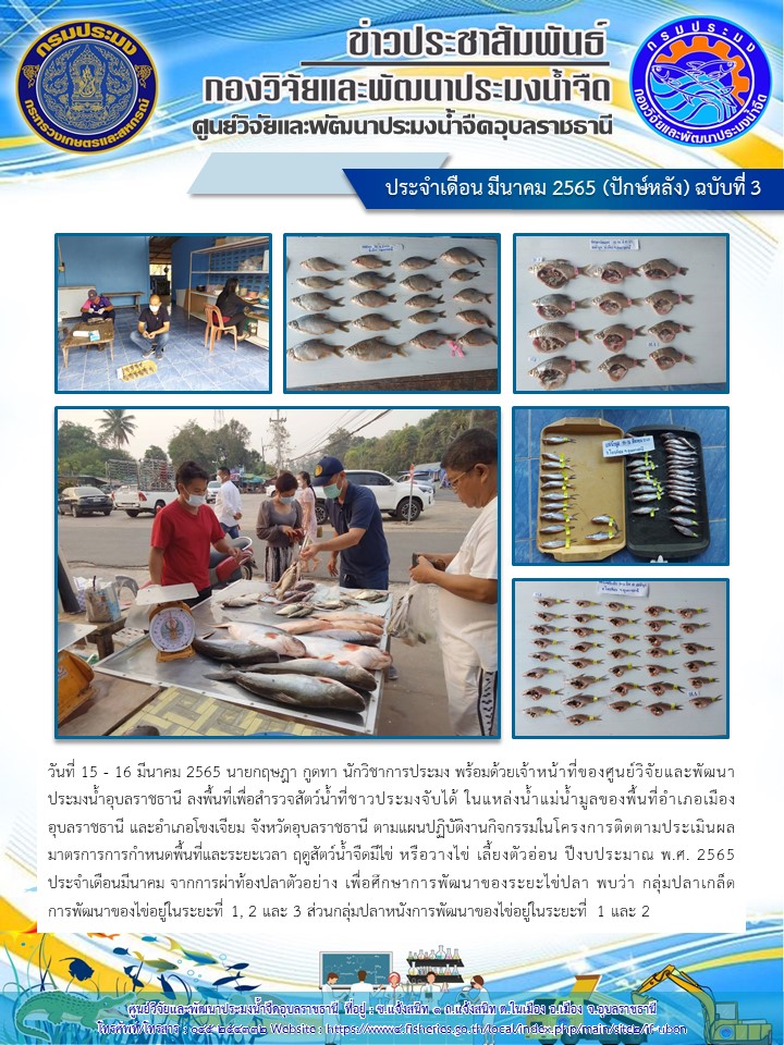 ข่าวประชาสัมพันธ์ ประจำเดือน มีนาคม 2565 (ปักษ์หลัง) ฉบับที่ 3..คลิก