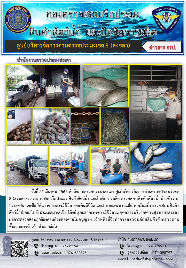 ประชาสัมพันธ์การปฏิบัติงาน วันที่ 21 มีนาคม 2565 สำนักงานตรวจประมงสะเดา..คลิก