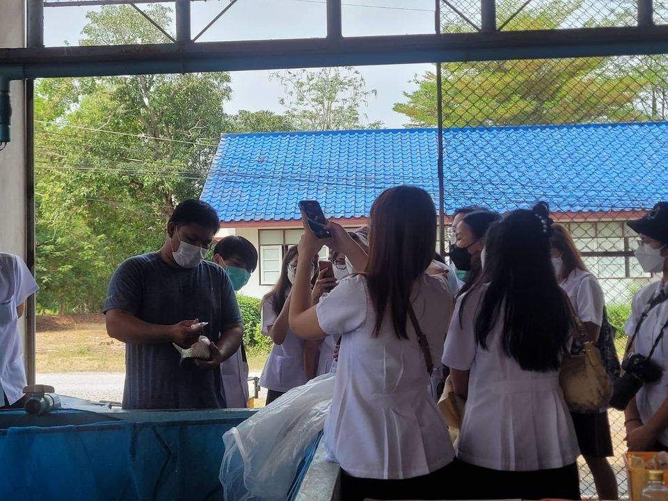 ศึกษาดูงาน..คลิก