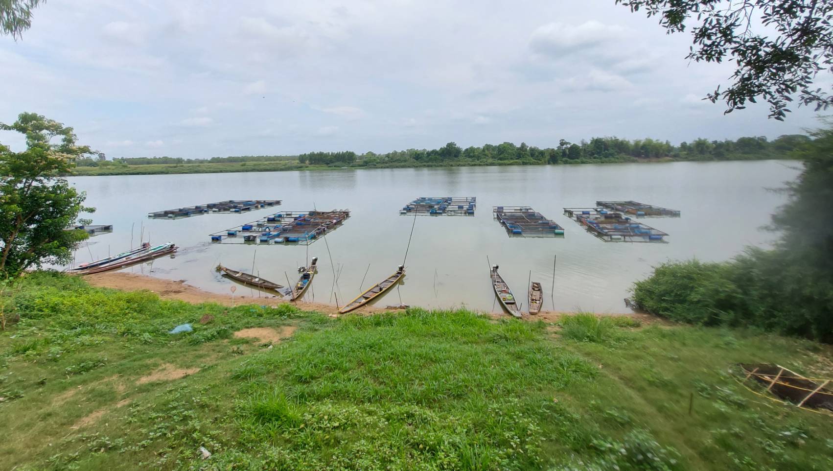   สำนักงานประมงอำเภอวารินชำราบ ดำเนินงานตามโครงการระบบส่งเสริมเกษตรกรแบบแปลงใหญ่ (สัตว์น้ำจืด) ประจำปีงบประมาณ 2565         ..คลิก