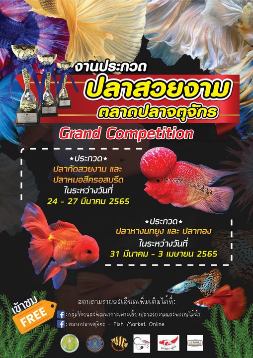 “งานประกวดปลาสวยงาม ตลาดปลาจตุจักร GRAND COMPETITION”  ณ ลานเร่ ตลาดปลาจตุจักร กรุงเทพฯ..คลิก