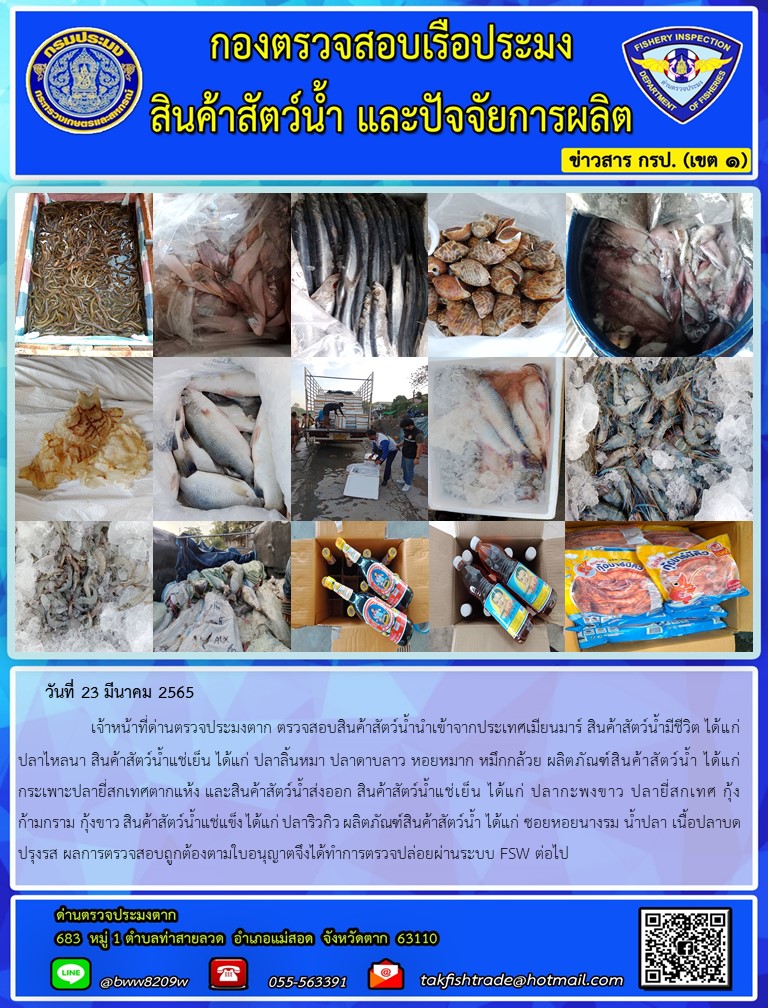 วันที่ 23 มีนาคม 2565   	     เจ้าหน้าที่ด่านตรวจประมงตาก ตรวจสอบสินค้าสัตว์น้ำนำเข้าจากประเทศเมียนมาร์ สินค้าสัตว์น้ำมีชีวิต ได้แก่ ปลาไหลนา สินค้าสัตว์น้ำแช่เย็น ได้แก่ ปลาลิ้นหมา ปลาดาบลาว หอยหมาก หมึกกล้วย ผลิตภัณฑ์สินค้าสัตว์น้ำ ได้แก่ กระเพาะปลายี่สกเทศตากแห้ง และสินค้าสัตว์น้ำส่งออก สินค้าสัตว์น้ำแช่เย็น ได้แก่ ปลากะพงขาว ปลายี่สกเทศ กุ้งก้ามกราม กุ้งขาว สินค้าสัตว์น้ำแช่แข็ง ได้แก่ ปลาริวกิว ผลิตภัณฑ์สินค้าสัตว์น้ำ ได้แก่ ซอยหอยนางรม น้ำปลา เนื้อปลาบดปรุงรส ผลการตรวจสอบถูกต้องตามใบอนุญาตจึงได้ทำการตรวจปล่อยผ่านระบบ FSW ต่อไป..คลิก