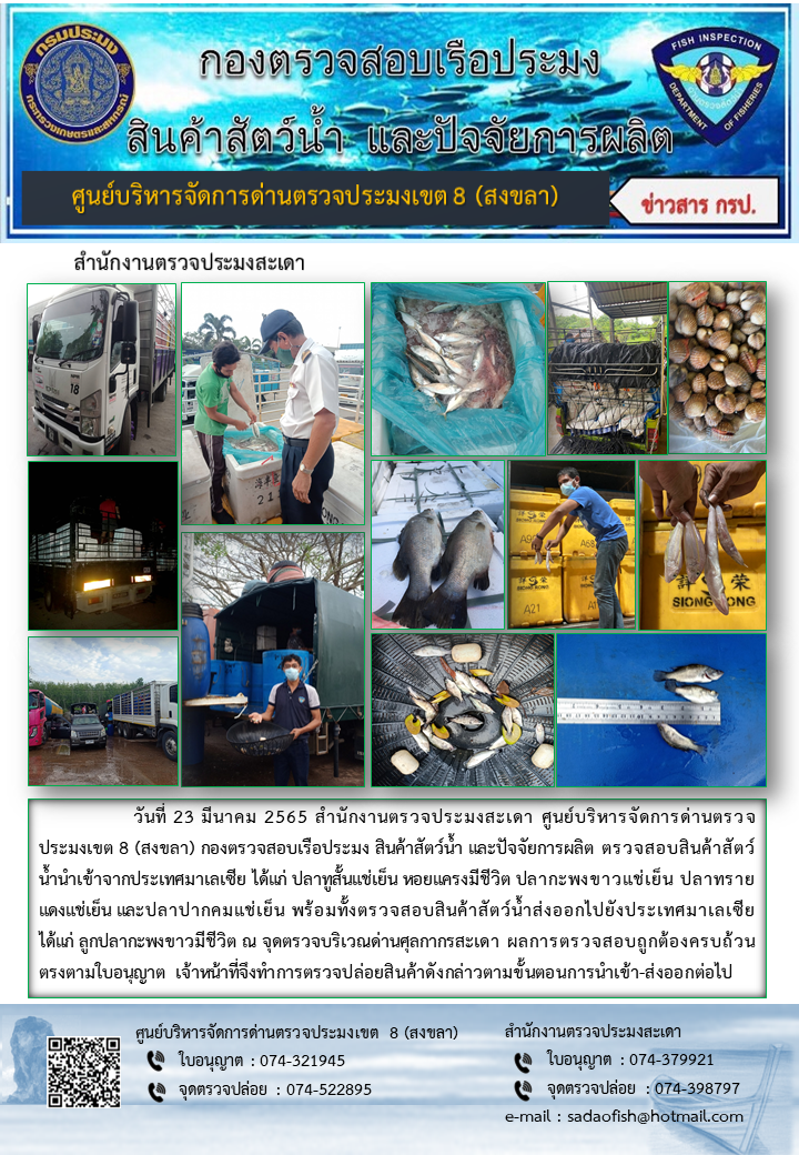 ประชาสัมพันธ์การปฏิบัติงาน วันที่ 23 มีนาคม 2565 สำนักงานตรวจประมงสะเดา..คลิก