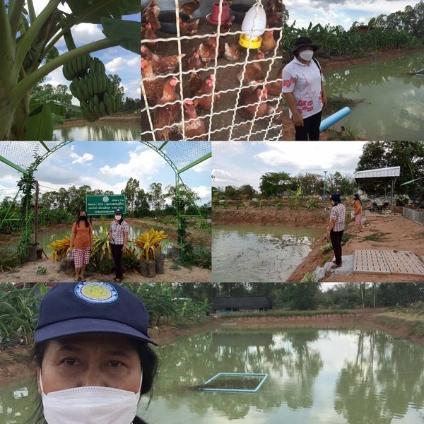 ติดตามความก้าวหน้าโครงการ 1 ตำบล 1 กลุ่มเกษตรทฤษฎีใหม่