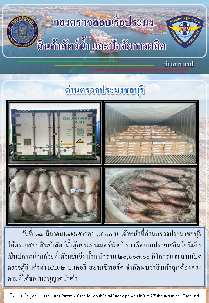การปฏิบัติงานของเจ้าหน้าที่ด่านตรวจประมงชลบุรีประจำวันที่ 23 มีนาคม 2565..คลิก