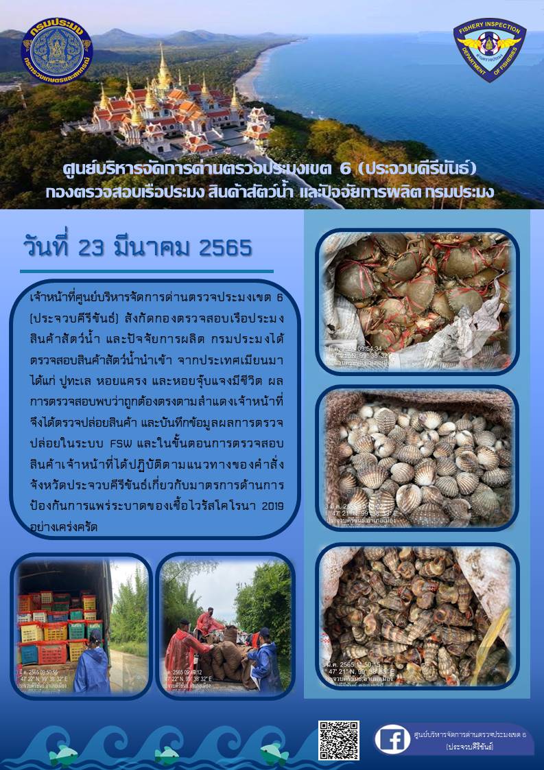 สินค้าสัตว์น้ำนำเข้าจากประเทศเมียนมา