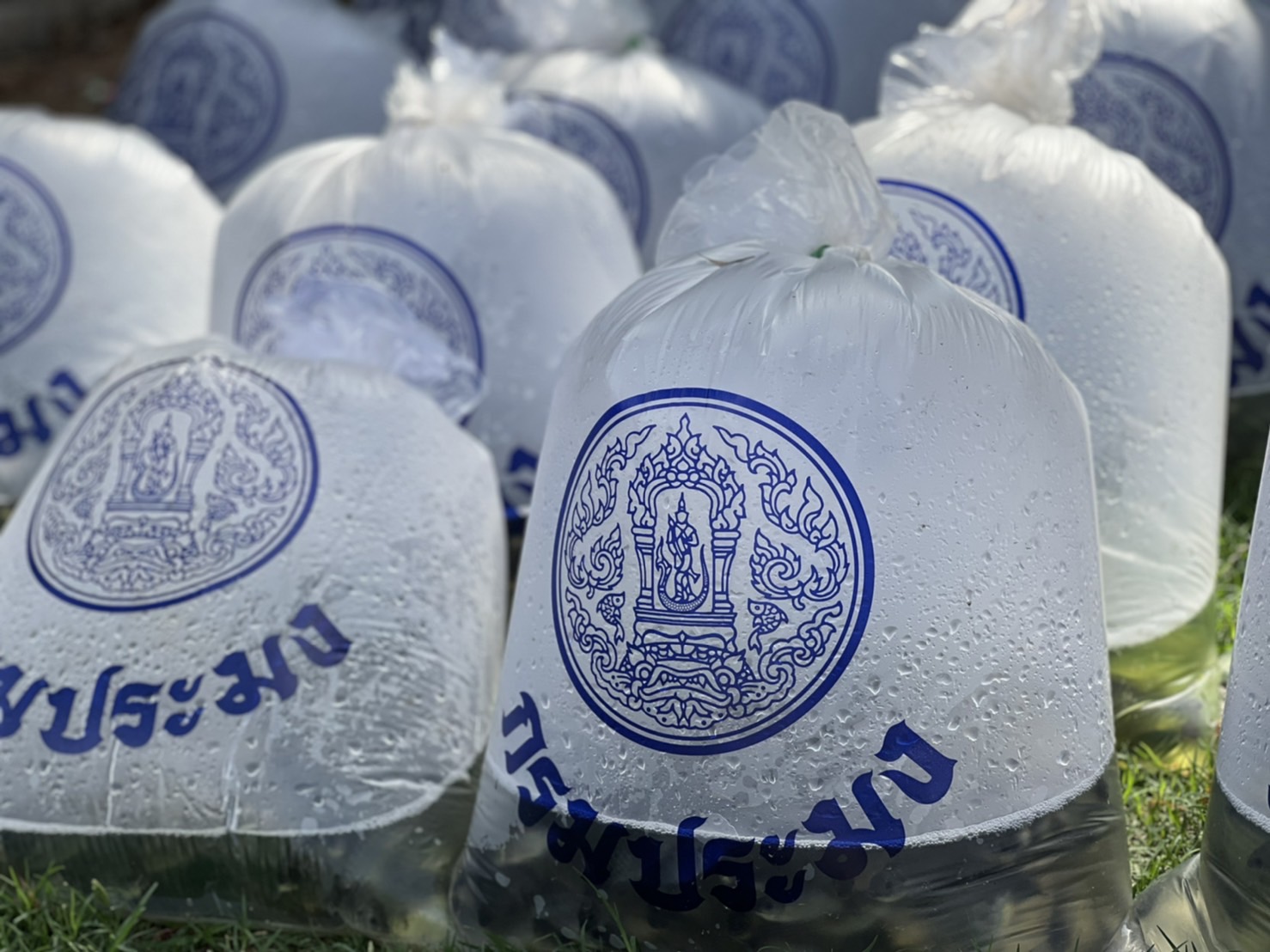 สำนักงานประมงจังหวัดอุบลราชธานี ร่วมกับศูนย์วิจัยพัฒนาประมงน้ำจืดอุบลราชธานี บูรณาการจัดงานคลินิกเกษตรเคลื่อนที่ในพระราชานุเคราะห์ สมเด็จพระบรมโอรสาธิราช ฯ สยามมกุฎราชกุมาร ครั้งที่ 2 ประจำปี 2565..คลิก