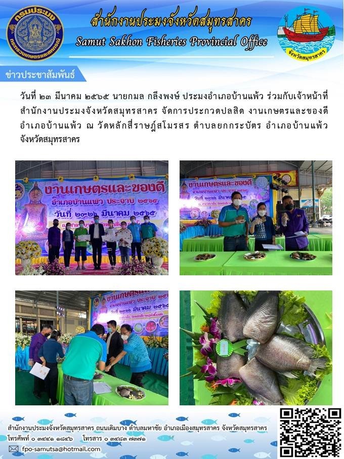 ร่วมกับเจ้าหน้าที่สำนักงานประมงจังหวัดสมุทรสาคร จัดการประกวดปลาสลิด..คลิก