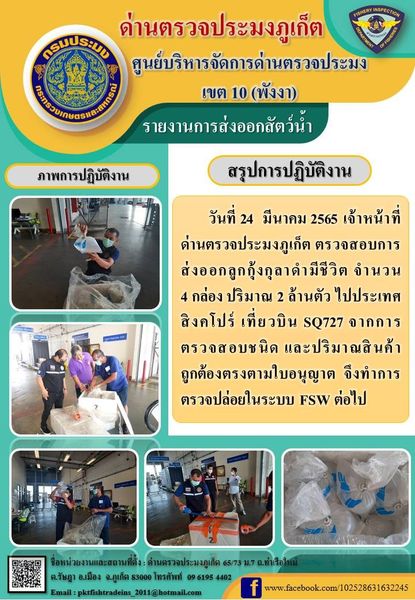 วันที่ 24  มีนาคม 2565 เจ้าหน้าที่ด่านตรวจประมงภูเก็ต ตรวจสอบการส่งออกลูกกุ้งกุลาดำมีชีวิต จำนวน 4 กล่อง ปริมาณ 2 ล้านตัว ไปประเทศสิงคโปร์ เที่ยวบิน SQ727 จากการตรวจสอบชนิด และปริมาณสินค้าถูกต้องตรงตามใบอนุญาต  จึงทำการตรวจปล่อยในระบบ FSW ต่อไป..คลิก