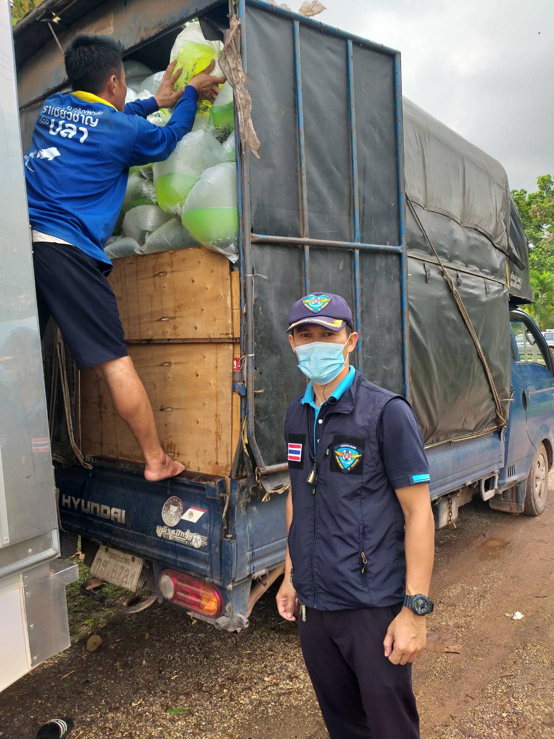 ตรวจสอบลูกพันธุ์สัตว์น้ำ ส่งออกไปยัง สปป.ลาว..คลิก