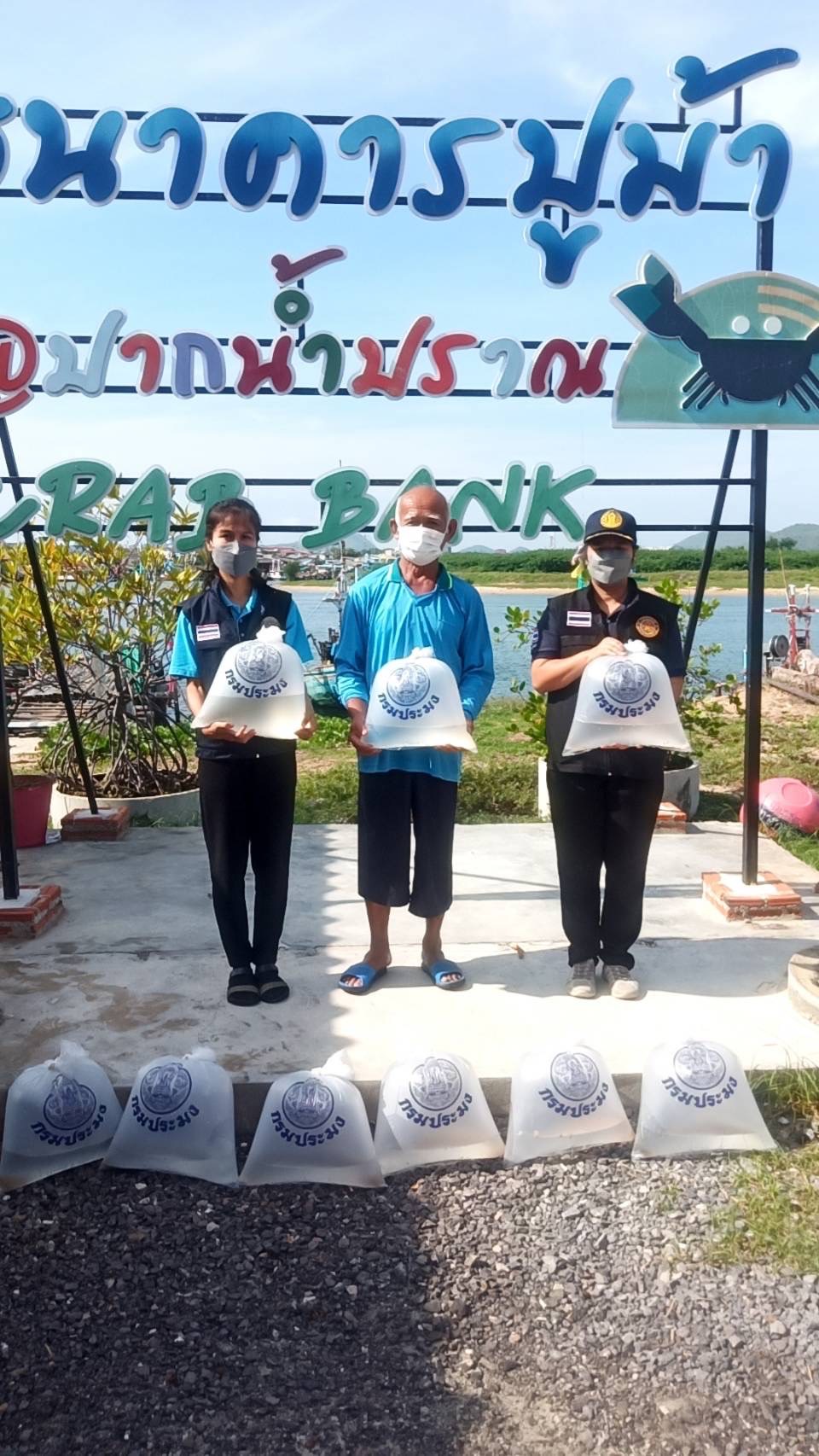 กิจกรรมปล่อยลูกพันธุ์หอยหวาน จำนวน 250,000 ตัว บริเวณปากน้ำปราณบุรี เพื่อเพิ่มพูนผลผลิตของหอยหวานในแหล่งธรรมชาติ..คลิก