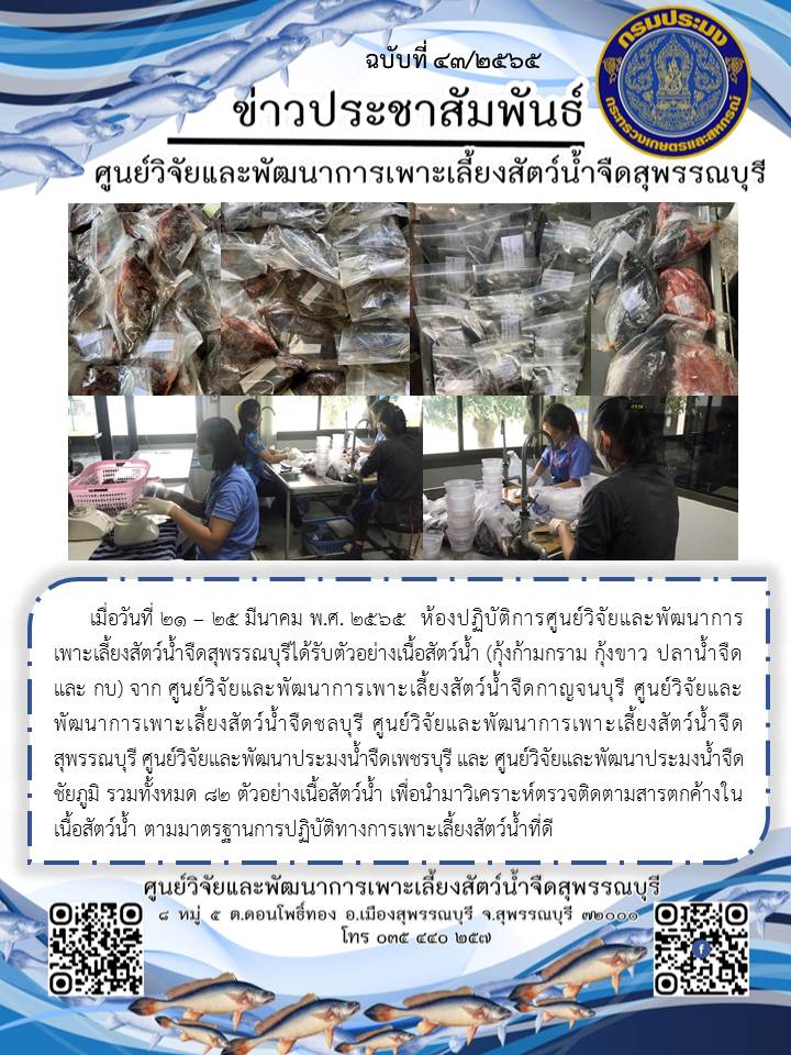 ข่าวประชาสัมพันธ์ฉบับที่ 43 ประจำเดือนมีนาคม 2565..คลิก