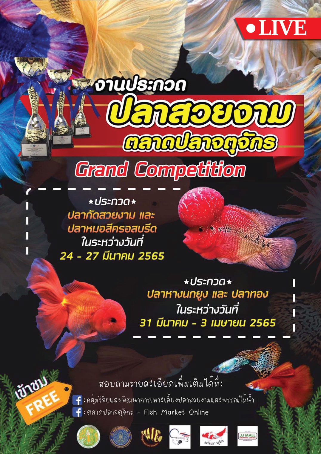 ภาพบรรยากาศสด “งานประกวดปลาสวยงาม ตลาดปลาจตุจักร” วันอาทิตย์ที่ 28 มีนาคม 2565